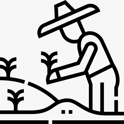 Search Icon